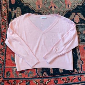 Everlane cashmere v neck